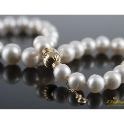 COLLARES Collar de perlas australianas