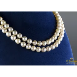 COLLARES Collar de perlas con cierre en oro amarillo.