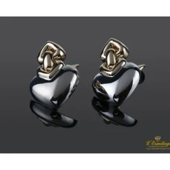 PENDIENTES Cuore coleccion