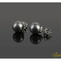PENDIENTES Pendientes oro blanco perlas tahití.