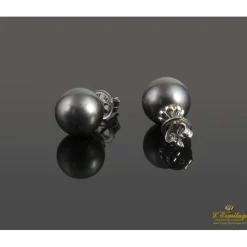 PENDIENTES Pendientes oro blanco perlas tahití.