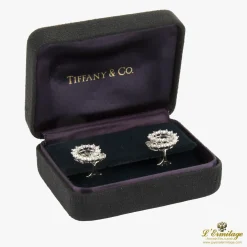 PENDIENTES Pendientes tiffany & co platino y diamantes.